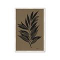 Picture of Silhouette Leaves _GroupedProduct_Rectangle_Portrait_Framed_Matted_