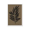 Picture of Silhouette Leaves _GroupedProduct_Rectangle_Portrait_Framed_Matted_