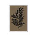 Picture of Silhouette Leaves _GroupedProduct_Rectangle_Portrait_Framed_Matted_