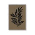 Picture of Silhouette Leaves _GroupedProduct_Rectangle_Portrait_Framed_Matted_