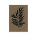 Picture of Silhouette Leaves _GroupedProduct_Rectangle_Portrait_Framed_Matted_