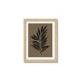 Picture of Silhouette Leaves _GroupedProduct_Rectangle_Portrait_Framed_Matted_