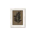 Picture of Silhouette Leaves _GroupedProduct_Rectangle_Portrait_Framed_Matted_