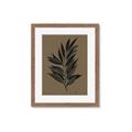 Picture of Silhouette Leaves _GroupedProduct_Rectangle_Portrait_Framed_Matted_