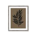 Picture of Silhouette Leaves _GroupedProduct_Rectangle_Portrait_Framed_Matted_