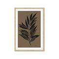 Picture of Silhouette Leaves _GroupedProduct_Rectangle_Portrait_Framed_Matted_