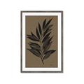 Picture of Silhouette Leaves _GroupedProduct_Rectangle_Portrait_Framed_Matted_