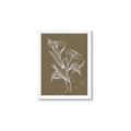 Picture of Neutral Plant  III _GroupedProduct_Rectangle_Portrait_Framed_Matted_