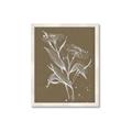 Picture of Neutral Plant  III _GroupedProduct_Rectangle_Portrait_Framed_Matted_