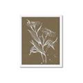 Picture of Neutral Plant  III _GroupedProduct_Rectangle_Portrait_Framed_Matted_