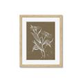 Picture of Neutral Plant  III _GroupedProduct_Rectangle_Portrait_Framed_Matted_
