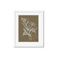 Picture of Neutral Plant  III _GroupedProduct_Rectangle_Portrait_Framed_Matted_
