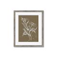 Picture of Neutral Plant  III _GroupedProduct_Rectangle_Portrait_Framed_Matted_