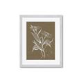 Picture of Neutral Plant  III _GroupedProduct_Rectangle_Portrait_Framed_Matted_