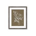 Picture of Neutral Plant  III _GroupedProduct_Rectangle_Portrait_Framed_Matted_