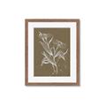 Picture of Neutral Plant  III _GroupedProduct_Rectangle_Portrait_Framed_Matted_