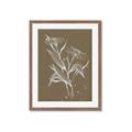Picture of Neutral Plant  III _GroupedProduct_Rectangle_Portrait_Framed_Matted_