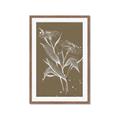 Picture of Neutral Plant  III _GroupedProduct_Rectangle_Portrait_Framed_Matted_