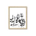 Picture of Silhouette Leaves I  _GroupedProduct_Rectangle_Portrait_Framed_Matted_