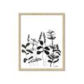 Picture of Silhouette Leaves I  _GroupedProduct_Rectangle_Portrait_Framed_Matted_