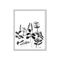 Picture of Silhouette Leaves I  _GroupedProduct_Rectangle_Portrait_Framed_Matted_