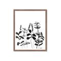 Picture of Silhouette Leaves I  _GroupedProduct_Rectangle_Portrait_Framed_Matted_