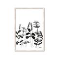 Picture of Silhouette Leaves I  _GroupedProduct_Rectangle_Portrait_Framed_Matted_