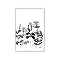 Picture of Silhouette Leaves I  _GroupedProduct_Rectangle_Portrait_Framed_Matted_