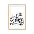 Picture of Silhouette Leaves I  _GroupedProduct_Rectangle_Portrait_Framed_Matted_