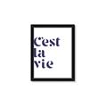 Picture of Cest La Vie II _GroupedProduct_Rectangle_Portrait_Framed_Matted_