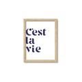 Picture of Cest La Vie II _GroupedProduct_Rectangle_Portrait_Framed_Matted_