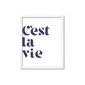 Picture of Cest La Vie II _GroupedProduct_Rectangle_Portrait_Framed_Matted_
