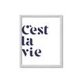 Picture of Cest La Vie II _GroupedProduct_Rectangle_Portrait_Framed_Matted_
