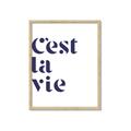 Picture of Cest La Vie II _GroupedProduct_Rectangle_Portrait_Framed_Matted_