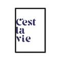 Picture of Cest La Vie II _GroupedProduct_Rectangle_Portrait_Framed_Matted_