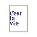 Picture of Cest La Vie II _GroupedProduct_Rectangle_Portrait_Framed_Matted_