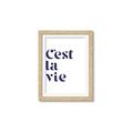 Picture of Cest La Vie II _GroupedProduct_Rectangle_Portrait_Framed_Matted_