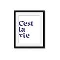 Picture of Cest La Vie II _GroupedProduct_Rectangle_Portrait_Framed_Matted_
