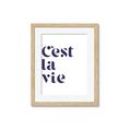 Picture of Cest La Vie II _GroupedProduct_Rectangle_Portrait_Framed_Matted_