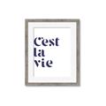 Picture of Cest La Vie II _GroupedProduct_Rectangle_Portrait_Framed_Matted_