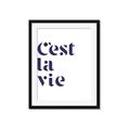 Picture of Cest La Vie II _GroupedProduct_Rectangle_Portrait_Framed_Matted_