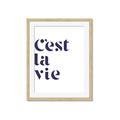 Picture of Cest La Vie II _GroupedProduct_Rectangle_Portrait_Framed_Matted_