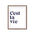 Picture of Cest La Vie II _GroupedProduct_Rectangle_Portrait_Framed_Matted_