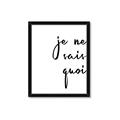 Picture of Je Ne Sais Quoi II _GroupedProduct_Rectangle_Portrait_Framed_Matted_