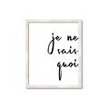 Picture of Je Ne Sais Quoi II _GroupedProduct_Rectangle_Portrait_Framed_Matted_