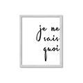Picture of Je Ne Sais Quoi II _GroupedProduct_Rectangle_Portrait_Framed_Matted_