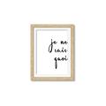 Picture of Je Ne Sais Quoi II _GroupedProduct_Rectangle_Portrait_Framed_Matted_