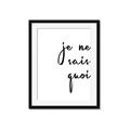 Picture of Je Ne Sais Quoi II _GroupedProduct_Rectangle_Portrait_Framed_Matted_