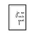 Picture of Je Ne Sais Quoi II _GroupedProduct_Rectangle_Portrait_Framed_Matted_