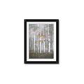 Picture of White Birches In Fall _GroupedProduct_Rectangle_Portrait_Framed_Matted_